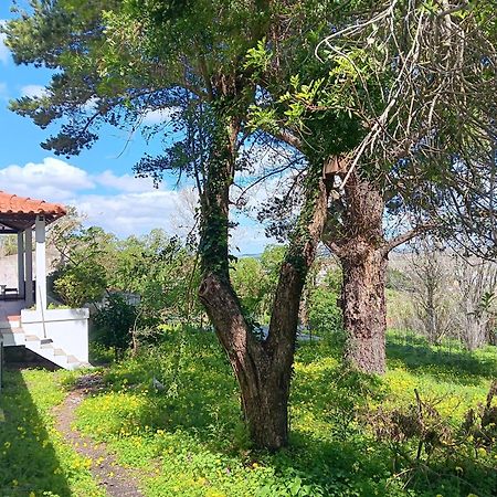 Quintinha A 35Min De Lisboa Villa Mafra Dış mekan fotoğraf