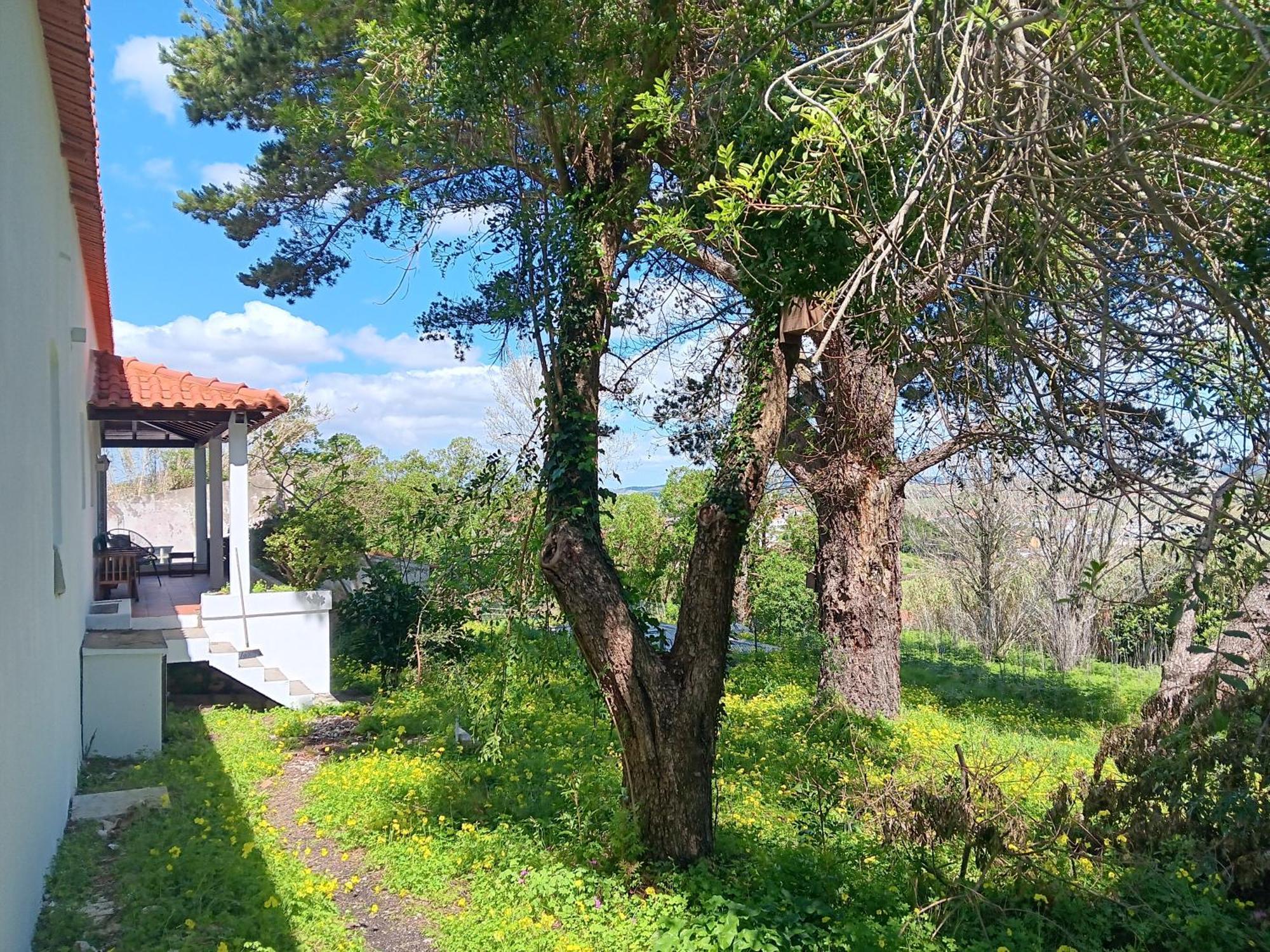 Quintinha A 35Min De Lisboa Villa Mafra Dış mekan fotoğraf